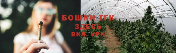 мдпв Шадринск