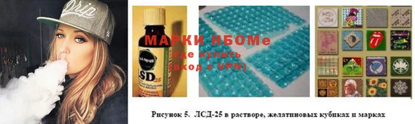 мдпв Шадринск