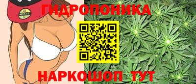 прущий лед Берёзовский