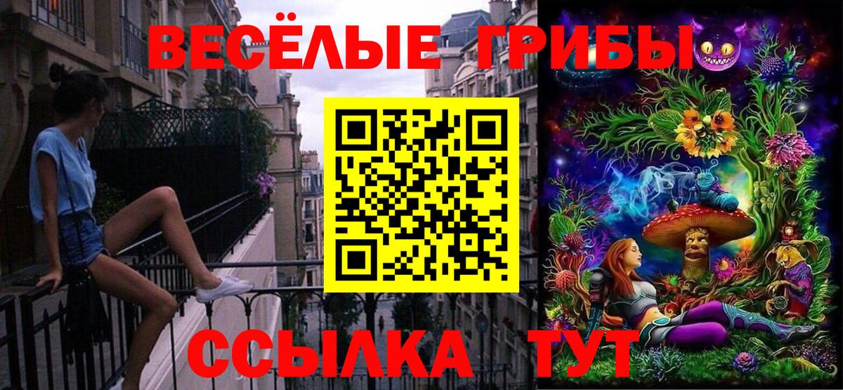 Галлюциногенные грибы прущие грибы  Вход с VPN  Севастополь 