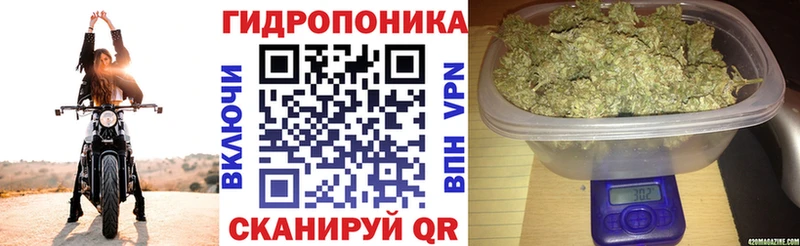 Канабис THC 21%  как найти закладки  Севастополь 